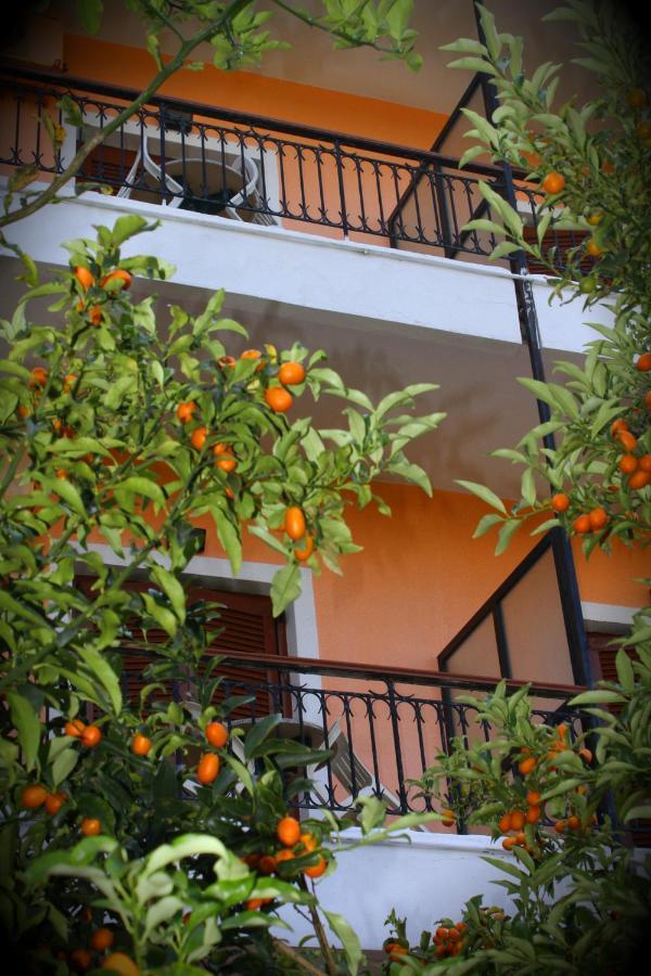 Tina Hotel Дасия Екстериор снимка